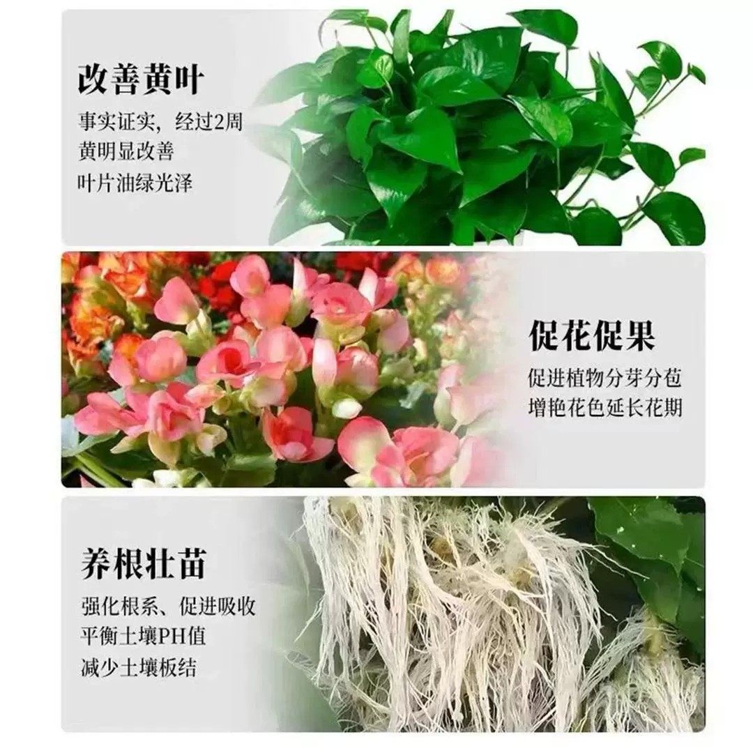 花卉专用肥有机肥月季牡丹花茶花君子兰绿植通用氮磷钾复合肥肥料,淘宝优惠券,粉丝福利购,淘宝优惠卷