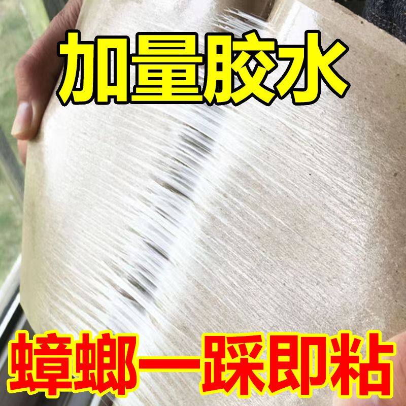 蟑螂贴强力粘灭蟑螂屋家用孕妇婴儿蟑螂板强力粘纸除驱捕捉板神器,淘宝优惠券,粉丝福利购,淘宝优惠卷