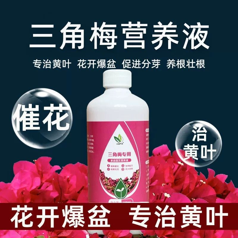 三角梅营养液专用催花养花通用型梅花盆栽家用花卉促开花液促开花,淘宝优惠券,粉丝福利购,淘宝优惠卷