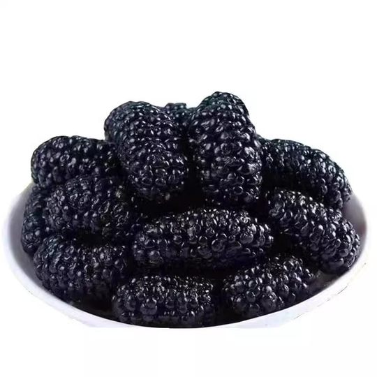 Сушеная черная шелковица, дикие крупные зерна, сырая шелковица, замоченная в воде для чая, специальные новые товары подсорта шелковицы, родом из Синьцзяна, специальные фрукты