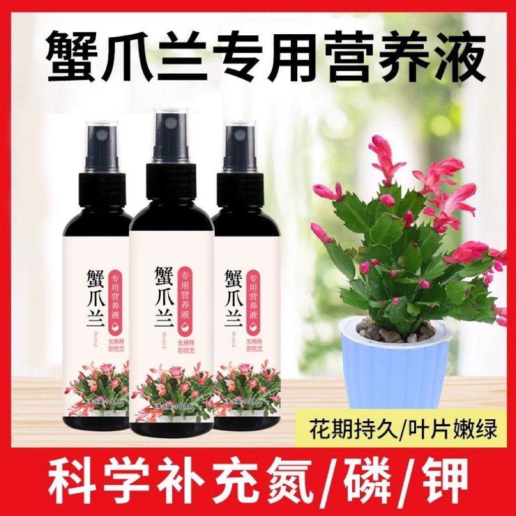【猛出苞】蟹爪兰催花专用营养液干瘪软烂根壮根不开花催花延花期,淘宝优惠券,粉丝福利购,淘宝优惠卷