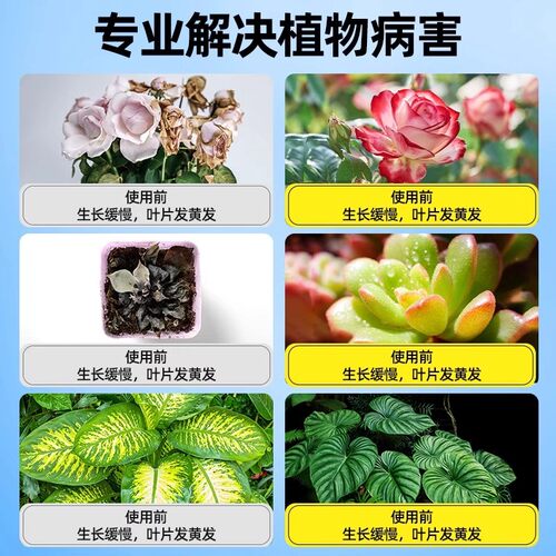 植物菌立清杀菌剂通用免稀释微生物菌剂盆栽绿植抑菌营养液花肥料 - 图3