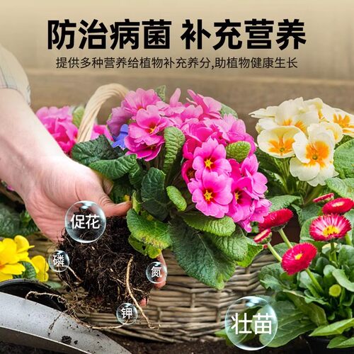 植物菌立清杀菌剂通用免稀释微生物菌剂盆栽绿植抑菌营养液花肥料 - 图2