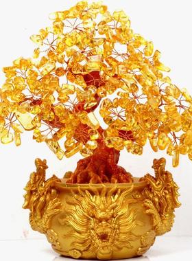 东海节高黄树 三龙水晶树 摇钱树发财树 家居摆件招财旺财