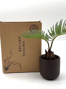 皮影陕西西安皮影戏桌面摆件装饰画中国特色出国小礼品送老外朋友