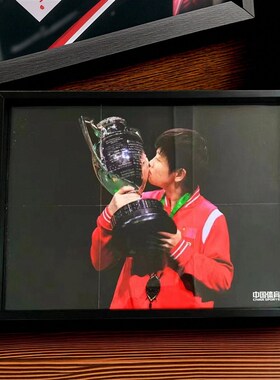 【莎头专属】4K明亮的心海报王楚钦多哈奖杯海报框双面透明相框