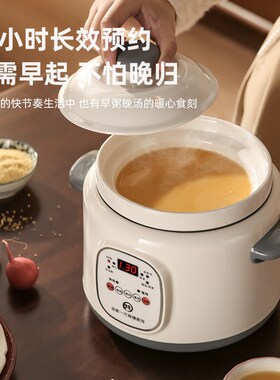 电炖锅一人食2024新款全自动炖锅陶瓷煲汤家用煮粥锅多功能电炖盅