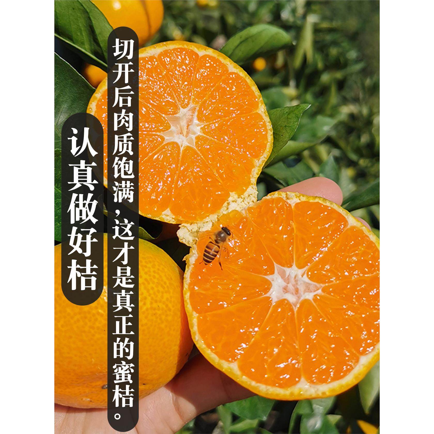 【甜】正宗涌泉蜜桔临海桔子10斤整箱当季新鲜水果台州黄岩橘子,淘宝优惠券,粉丝福利购,淘宝优惠卷