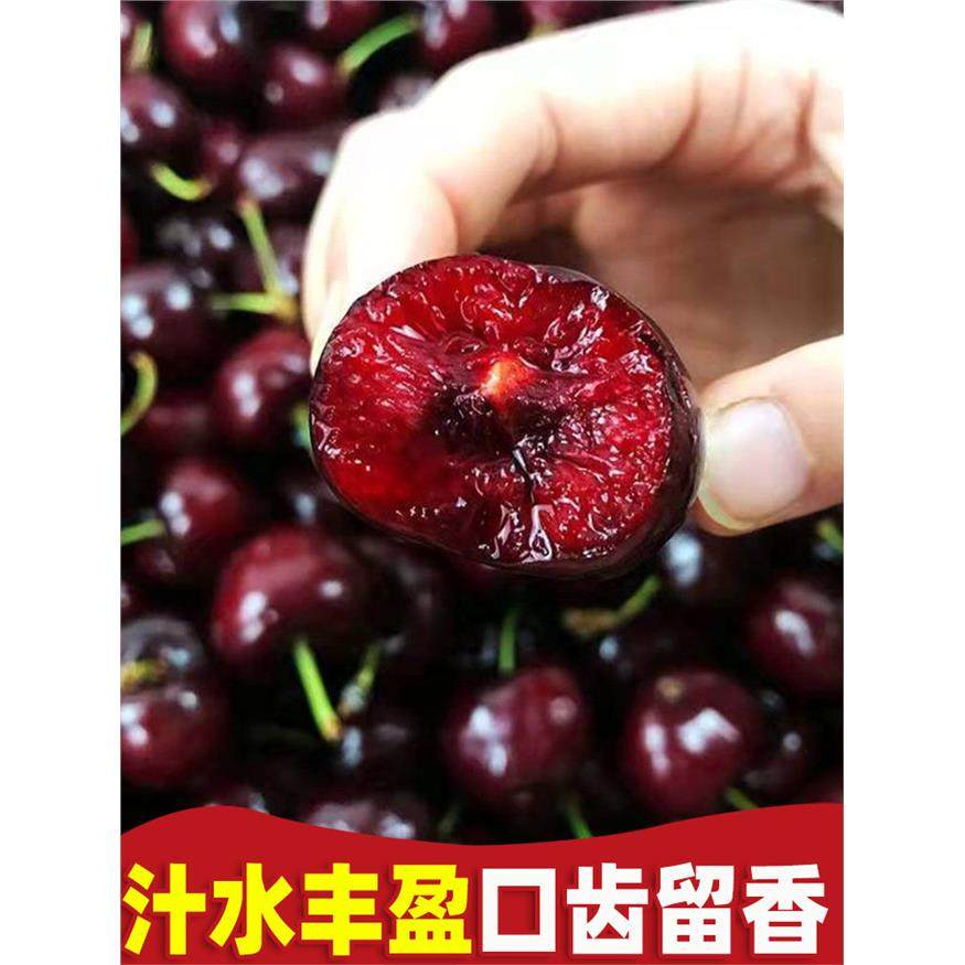 智利车厘子5斤5j新鲜水果包邮当季整箱进口大樱桃4j孕妇高档礼盒,淘宝优惠券,粉丝福利购,淘宝优惠卷
