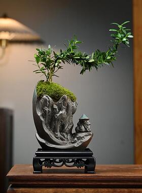 六月雪盆栽办公室桌面好养植物客厅室内摆件禅意盆景茶室黄杨
