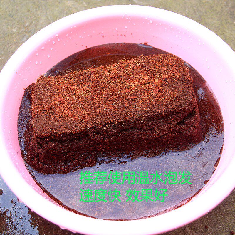 棷砖种花营养土 多肉土专用 养花种菜营养土通用型花肥泥土腐植土 - 图2