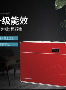 净水器家用反渗透纯水机直饮过滤器除氯五瓶净水器智能