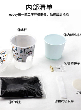 观察生长发芽盆栽小学生diy种植花农自种迷你创意儿童蔬菜花卉种