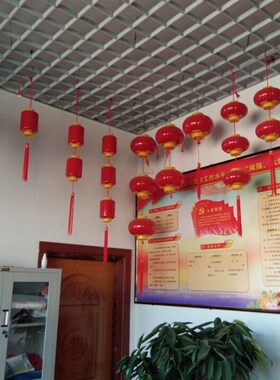 亚克力塑料灯笼LED长冬瓜灯笼户外装饰防水,中秋圆大小红灯笼串