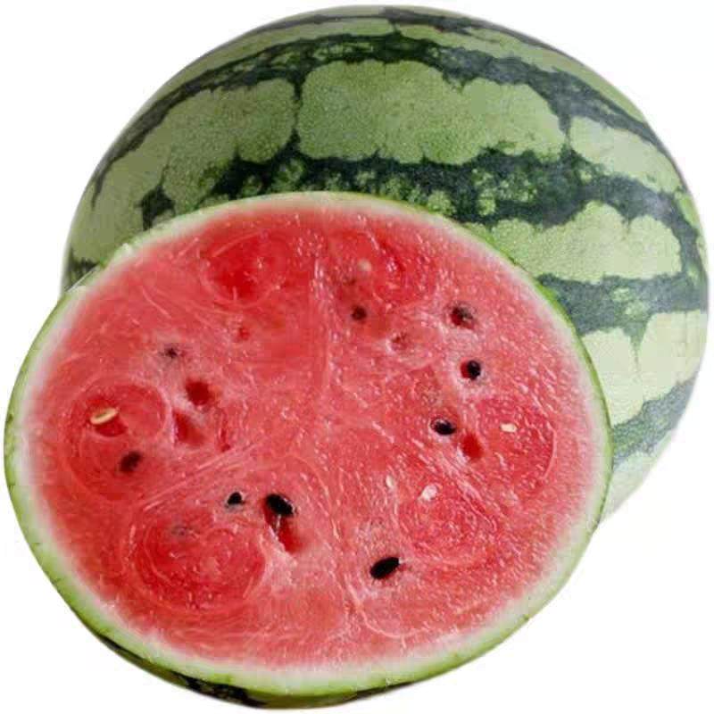 海南麒麟西瓜南汇三亚新鲜当季孕妇水果整箱脆甜西瓜现摘水果西瓜,淘宝优惠券,粉丝福利购,淘宝优惠卷