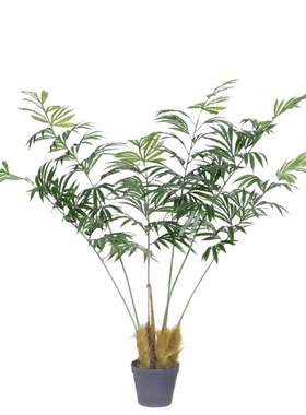 北欧风仿真德宝苏铁假绿植盆栽室内家居装饰摆件仿真蕨树落地造景