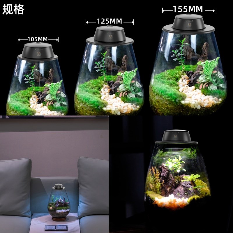 全光谱微景观植物补光灯仿太阳苔藓植物生长灯玻璃瓶生态瓶植物灯 - 图0