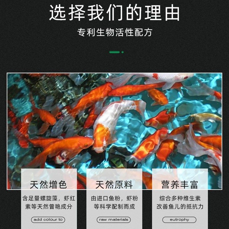 一品红优品锦鲤扬色专用粮锦鲤鱼食观赏鱼不浑水鱼饲料金鱼鱼粮,淘宝优惠券,粉丝福利购,淘宝优惠卷