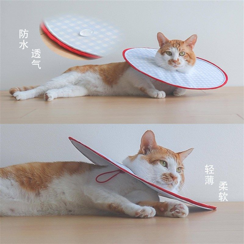 超轻薄大宠物猫咪伊加大伊丽套丽莎头白圈利狗软项防舔癣抓咬绝育,淘宝优惠券,粉丝福利购,淘宝优惠卷