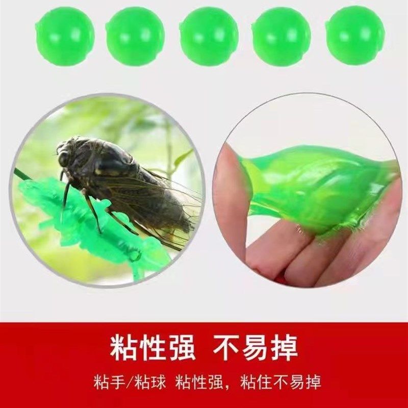 碳素粘知了杆捕蝉竿沾知了捕蝉竿6米7米8米10米捕蝉神器,淘宝优惠券,粉丝福利购,淘宝优惠卷