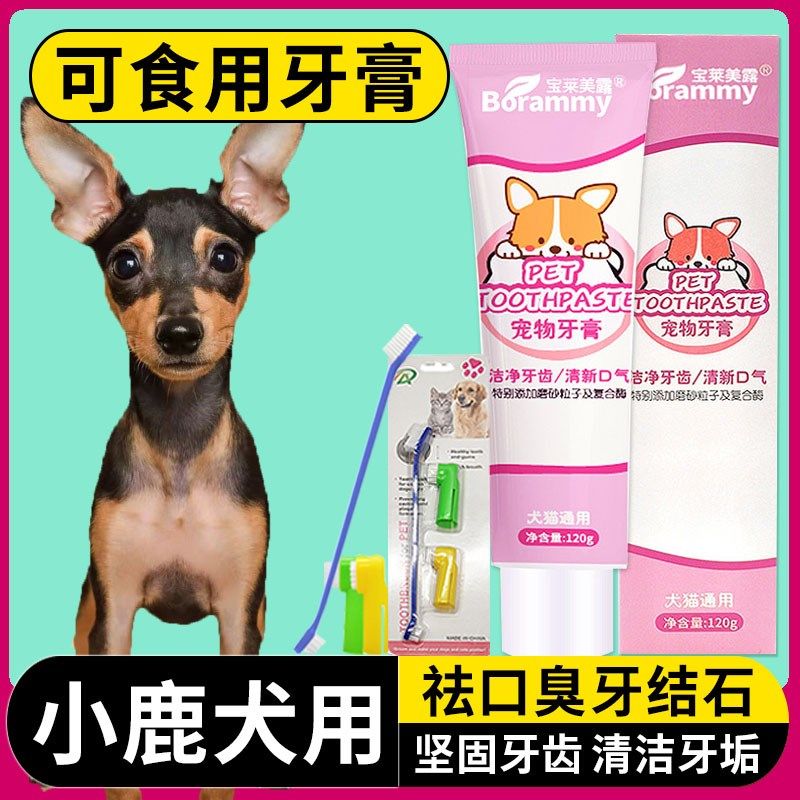 小鹿犬专用狗狗牙刷牙膏套装口臭可食用幼犬小狗牙结石小型犬,淘宝优惠券,粉丝福利购,淘宝优惠卷