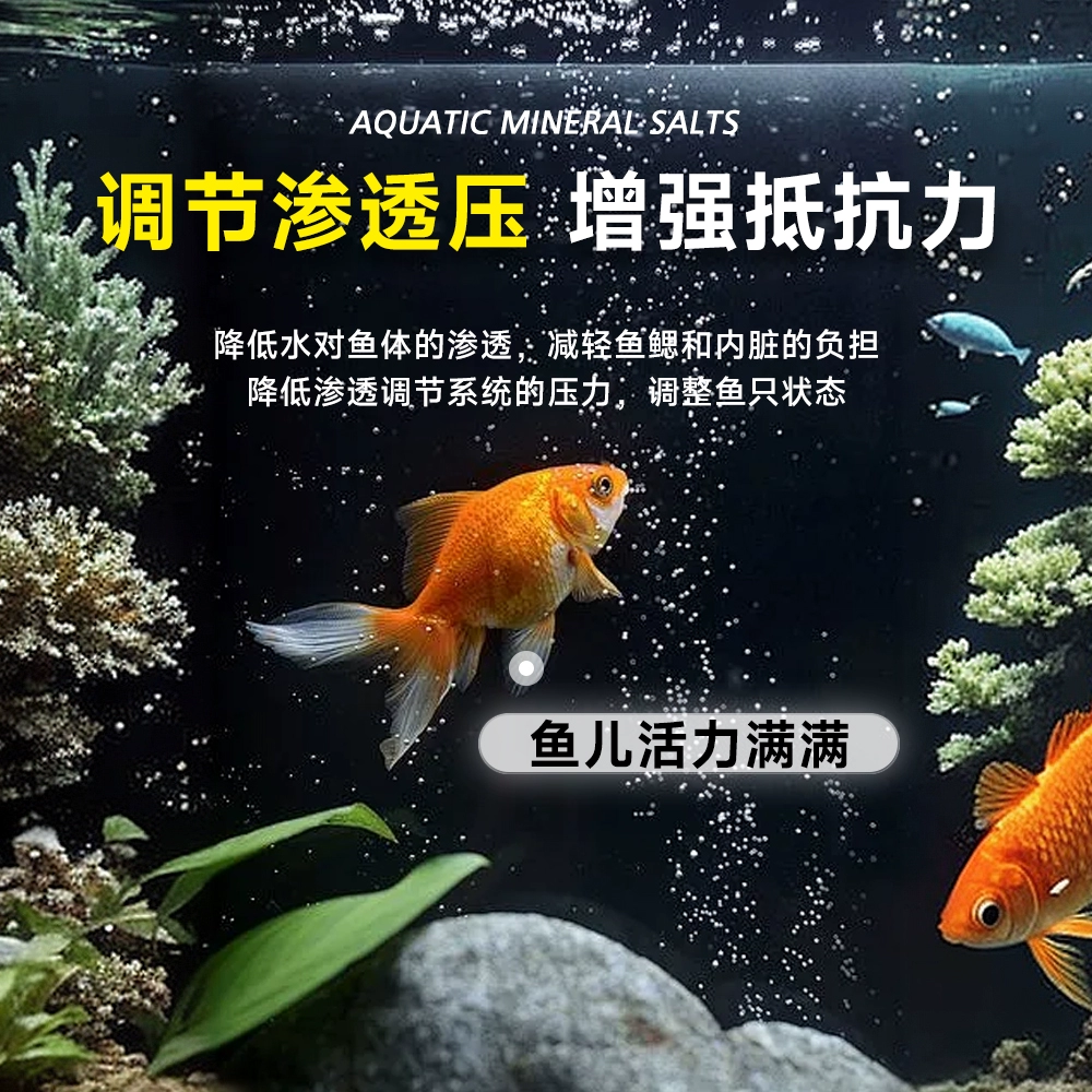 庆大霉素鱼病专用药烂身烂尾白点白毛掉磷蒙眼抗菌消炎康复消毒药,淘宝优惠券,粉丝福利购,淘宝优惠卷