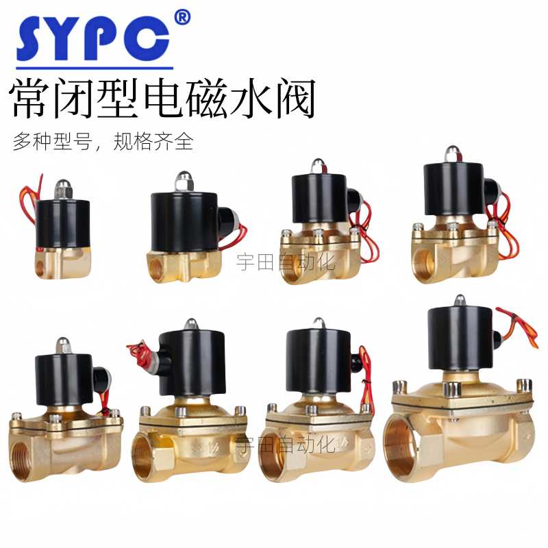 SYPC常闭水气阀电磁阀2W160-15螺纹4分2W025-08控制开关阀220V2 - 图0