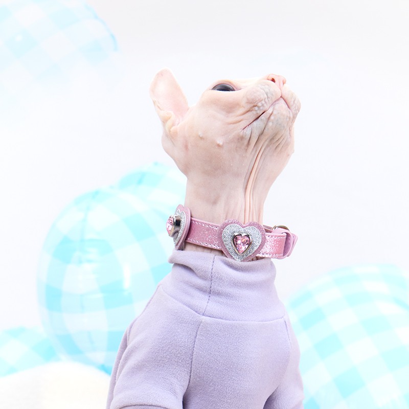 Call from Mars MarsMail pet collar traction rope large, medium and small dog walking rope cat neck collar necklace