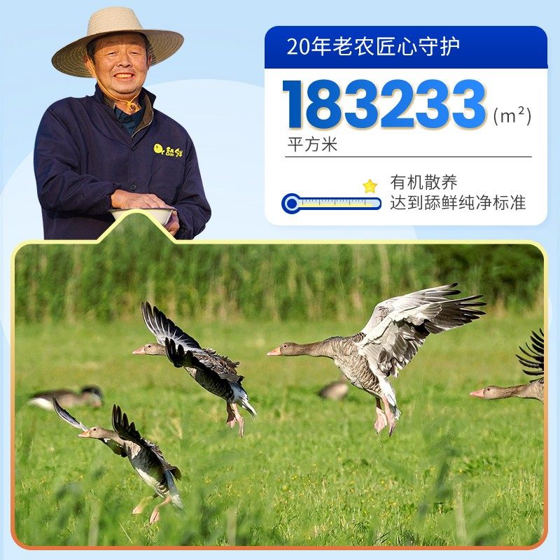 舔鲜5S级原切法式生鲜鹅肝可做辅食切片婴儿独立包装72g含硒,淘宝优惠券,粉丝福利购,淘宝优惠卷