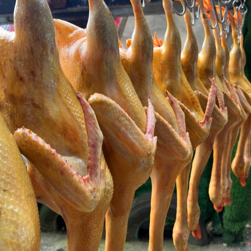 Freshly slaughtered 300-day-old free-range shelduck (yellow skin and red meat - without internal organs), the net weight of each duck is more than 4 kilograms