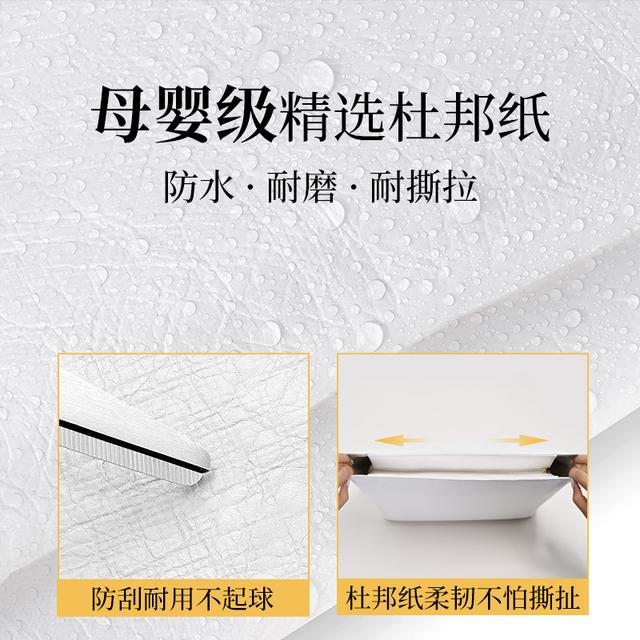 韩国进口古蚁guyi适用于珑骧Cabas公文包杜邦纸内胆防水收纳整理 - 图2