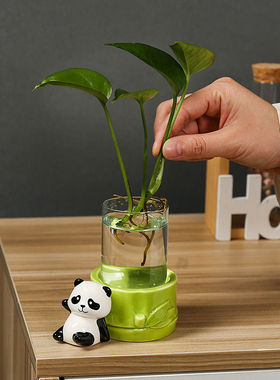 猫形花瓶小熊猫桌面摆件水养玻璃花瓶绿萝鲜花水培器皿创意客厅插