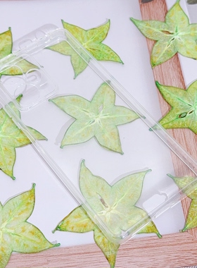 压花杨桃切片水果标本DIY材料