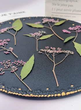 粉花绣线菊压花标本粉紫色簇状小花天然真花DIY滴胶植物压花材料