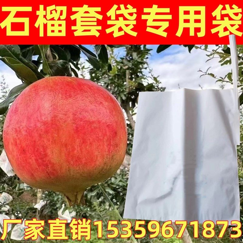 石榴袋专用套袋露天防晒防虫番石榴套袋柑橘脐橙套袋水果通用果,淘宝优惠券,粉丝福利购,淘宝优惠卷