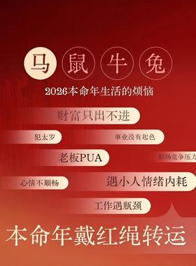 2026纯银小马手绳手链女男