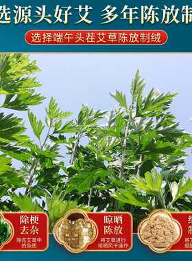 电加热艾灸药芯系列内胆 艾灸帽配件替换药芯 艾灸宝内胆