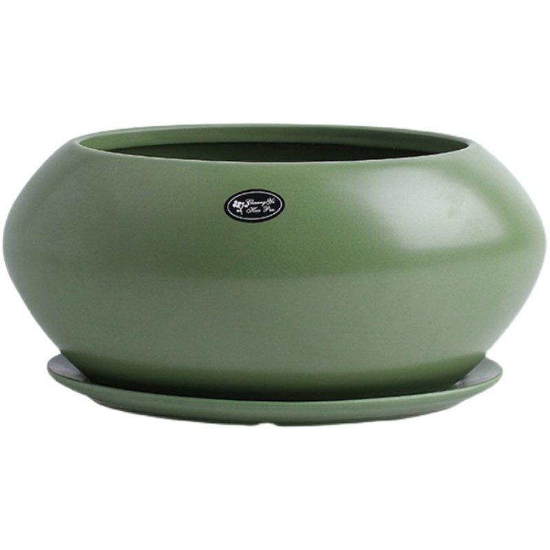 陶瓷花盆北欧简约创意椭圆形花卉带托盘家用客厅绿植绿萝兰花盆景,淘宝优惠券,粉丝福利购,淘宝优惠卷