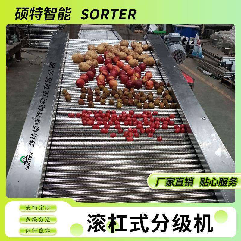 百合球直径分拣机 青皮核桃选果机 蒜头大小挑选设备 山楂分选机,淘宝优惠券,粉丝福利购,淘宝优惠卷