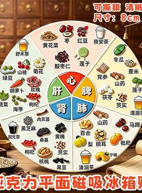 亚克力磁吸养生冰箱贴五脏六腑食疗图谱家庭生活健康科普装饰贴