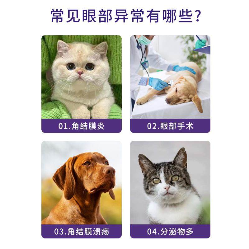 舒酶捷犬猫眼结膜角膜炎宠物通用角膜炎猫鼻支滴眼眼用凝胶,淘宝优惠券,粉丝福利购,淘宝优惠卷