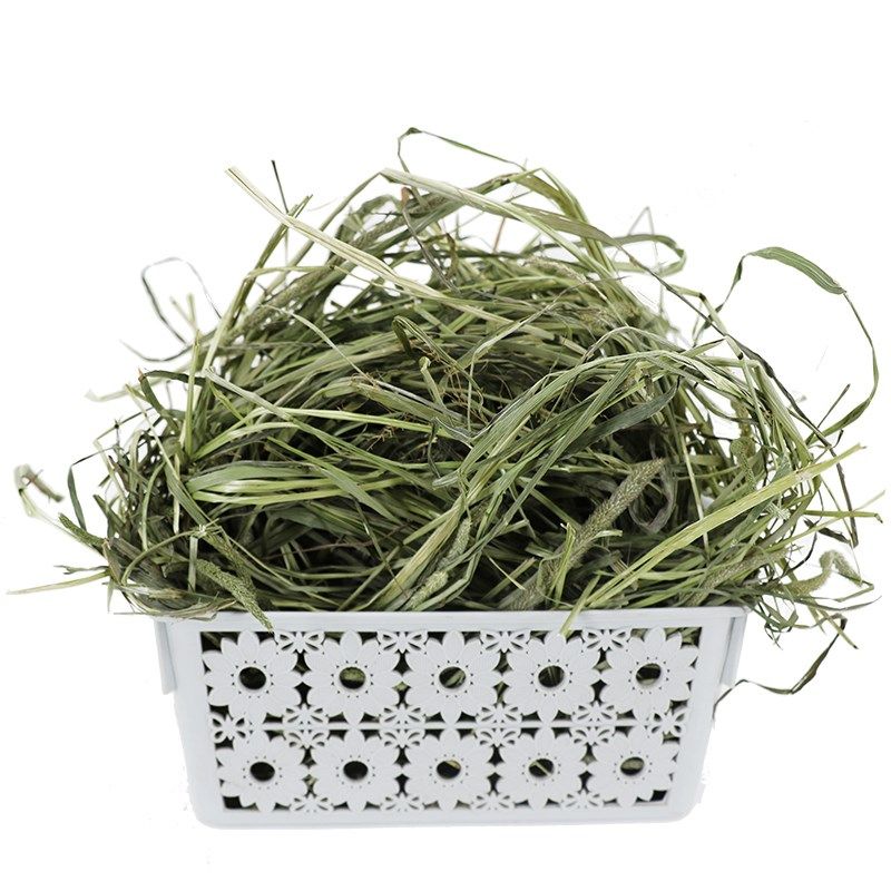 提摩西草晒干兔饲料半烘干优质兔草北提宠物豚鼠兔子干草兔粮饲料,淘宝优惠券,粉丝福利购,淘宝优惠卷