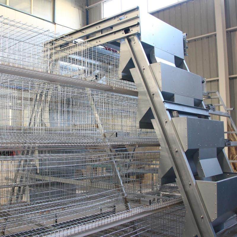 多层阶梯式全自动蛋鸡笼热镀锌笼养鸡设备鸡场养殖场自动化设备,淘宝优惠券,粉丝福利购,淘宝优惠卷