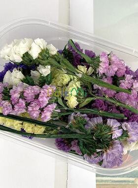 满天星高级感真花干花束