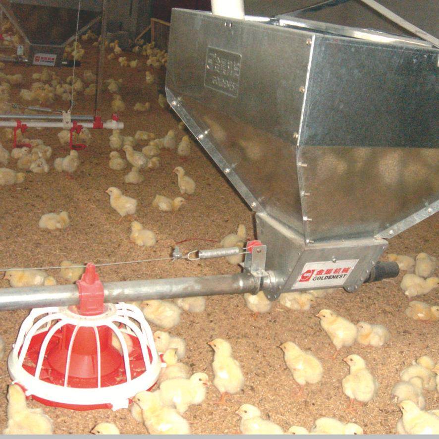 养鸡设备种鸡料线鸡用料线肉鸡料线种鸡桶式计量同步喂料厂家直供,淘宝优惠券,粉丝福利购,淘宝优惠卷