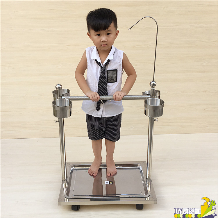 灰鹦鹉 葵花鹦鹉升降架 不锈钢站架 中大型鹦鹉鸟架 脚链 磨爪杆 - 图3