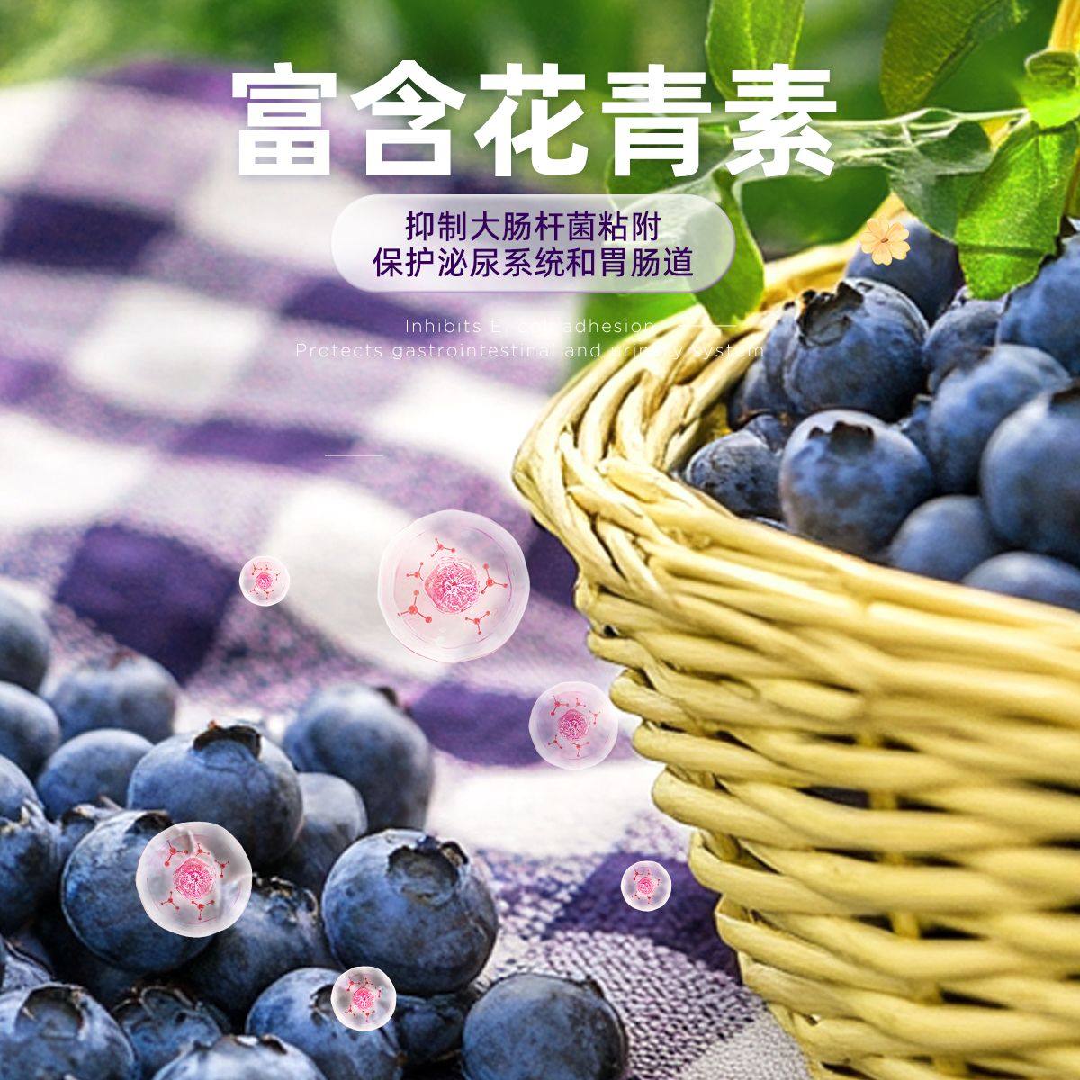 迪迪妈猫咪零食蓝莓兔肉冻干营养护眼呵护泌尿健康狗狗零食冻干猫,淘宝优惠券,粉丝福利购,淘宝优惠卷