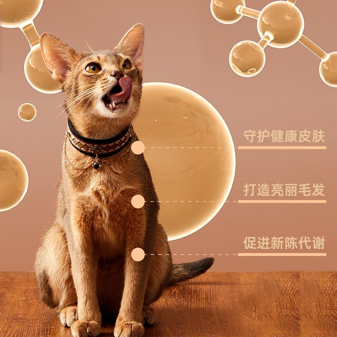 一时叁罐【重磅新品】全价双层鲜肉主食罐鸡鹅兔猪营养全阶段湿粮,淘宝优惠券,粉丝福利购,淘宝优惠卷