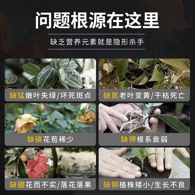 中古快速生根粉（大量元素水溶肥料）花卉绿植生根壮根生根液高磷,淘宝优惠券,粉丝福利购,淘宝优惠卷