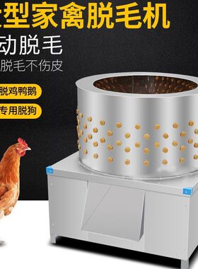 大型家禽机不锈钢鸡鸭鹅去毛机拔毛机兔狗羊鸽子毛机打毛机厂家